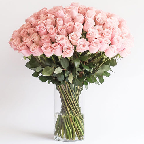 Premium Long-Lasting Pink Rose Bulk Collection