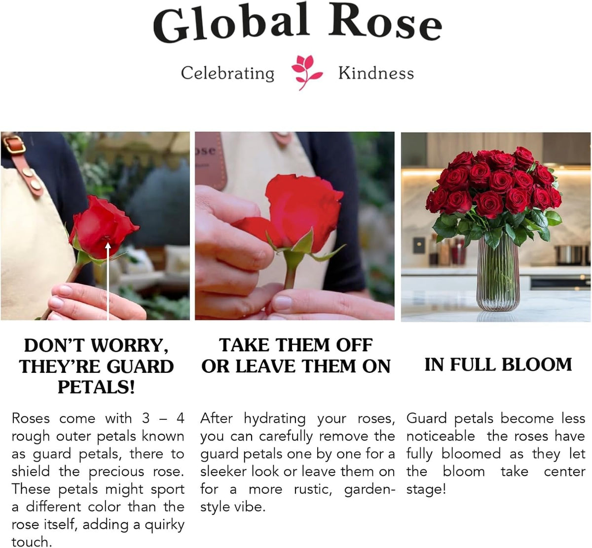 Premium Long-Lasting Pink Rose Bulk Collection